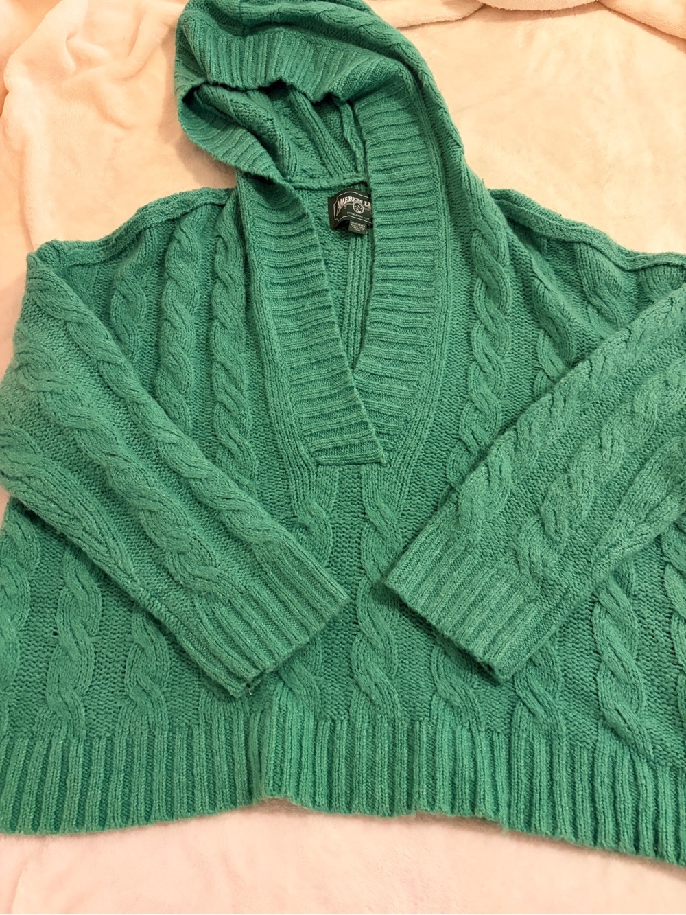 American Eagle Hooded Cable Knit Sweater 🐢🌲